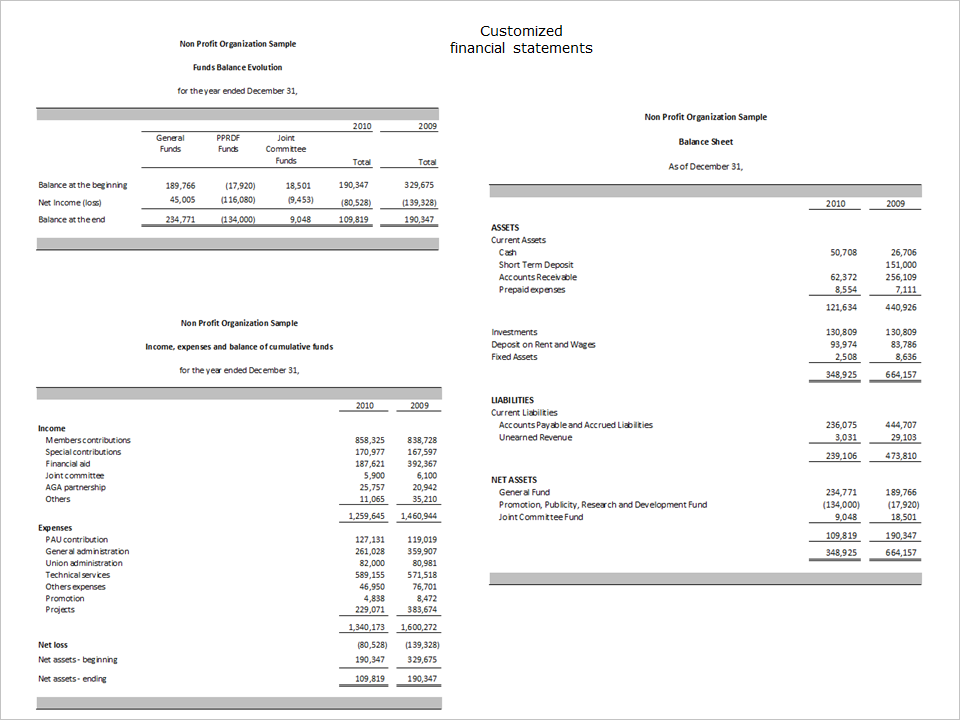 Excel FSM | Standard Edition | Financial Statement Masters